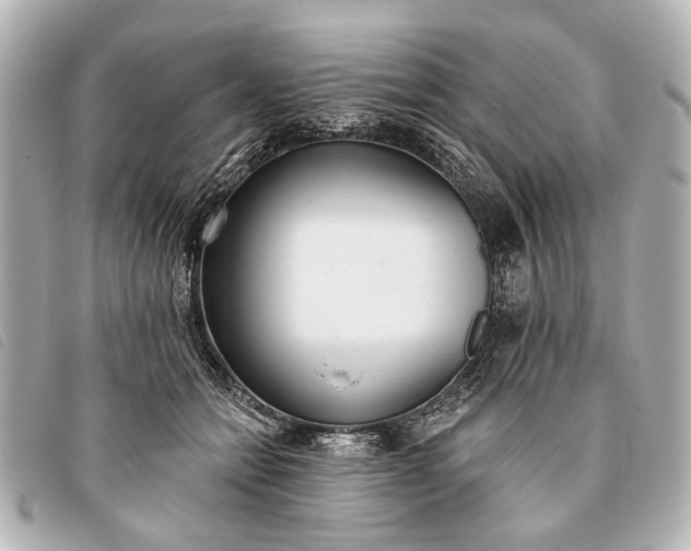 X0000093380558200710251219