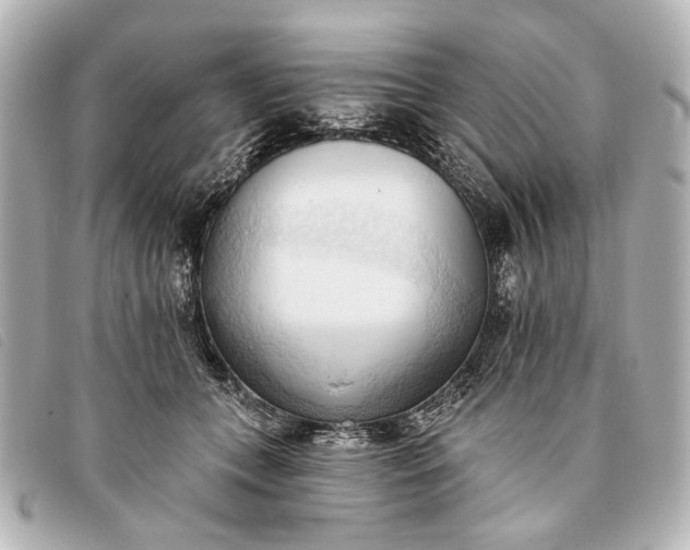 X0000093380559200710251219