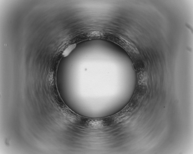 X0000093380560200710251219