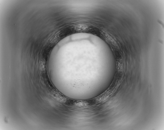 X0000093380561200710251219