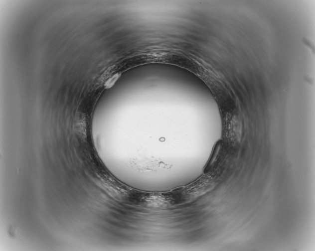 X0000093380562200710251219