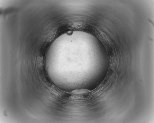 X0000093380563200710251219