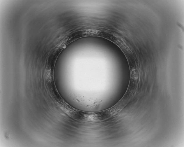 X0000093380564200710251219