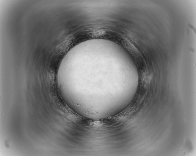 X0000093380565200710251219