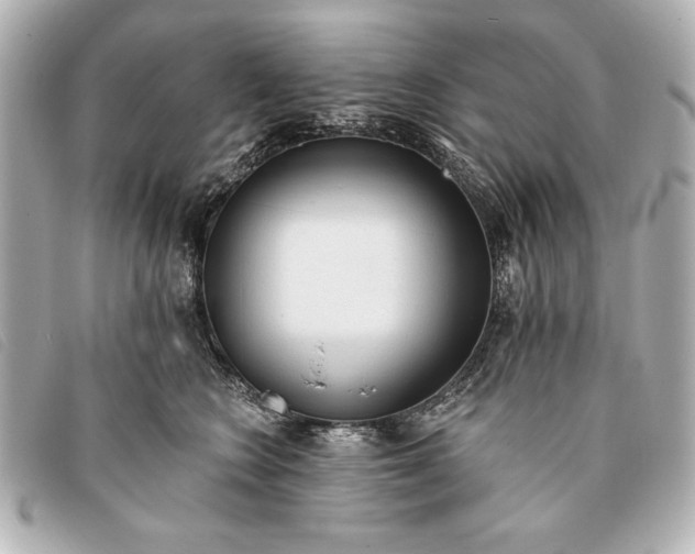 X0000093380566200710251219