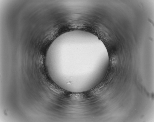 X0000093380567200710251219