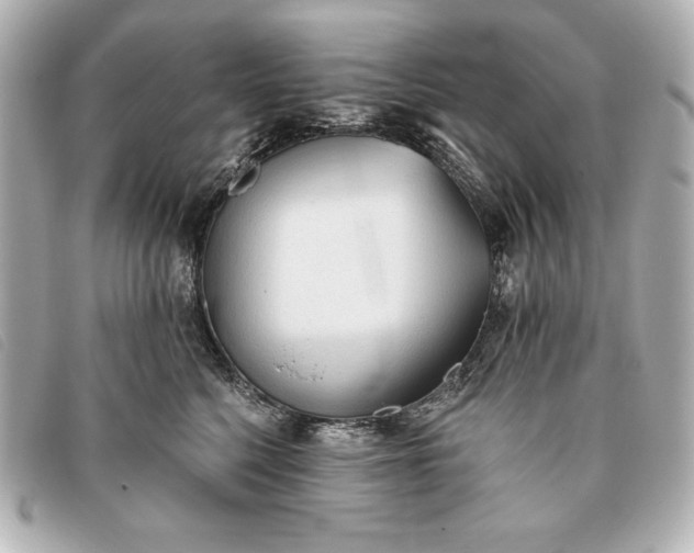 X0000093380568200710251219