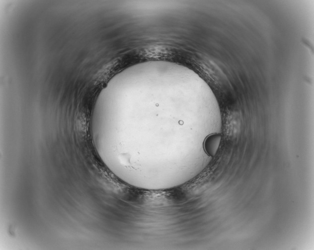 X0000093380569200710251219