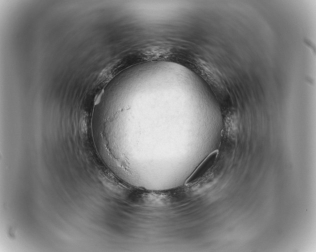 X0000093380570200710251219