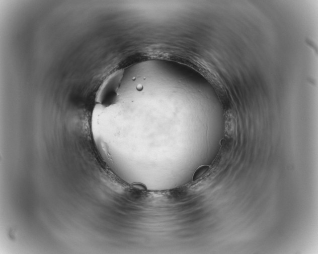 X0000093380573200710251219