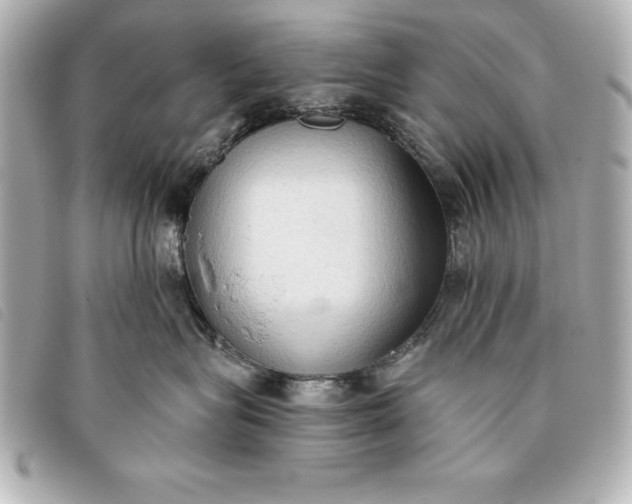 X0000093380575200710251220