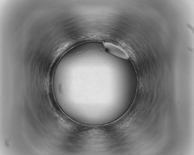 X0000093380578200710251219