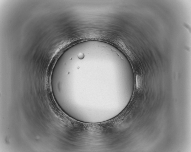 X0000093380579200710251219