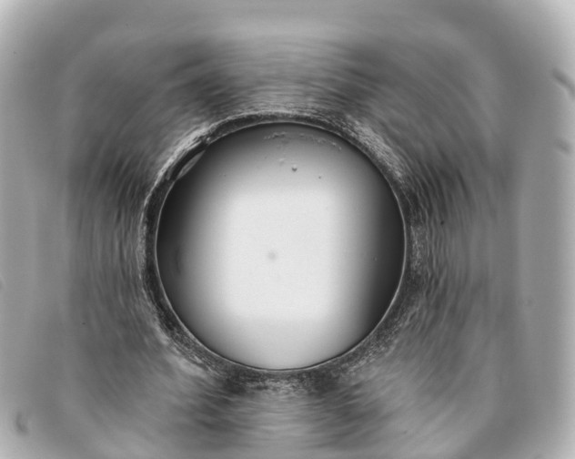 X0000093380580200710251219