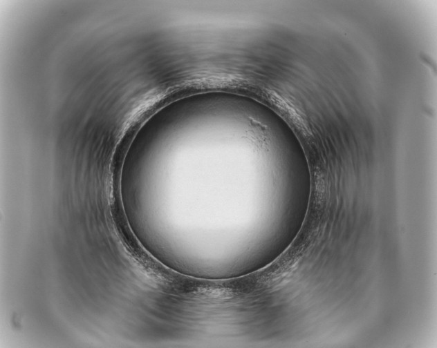 X0000093380582200710251219