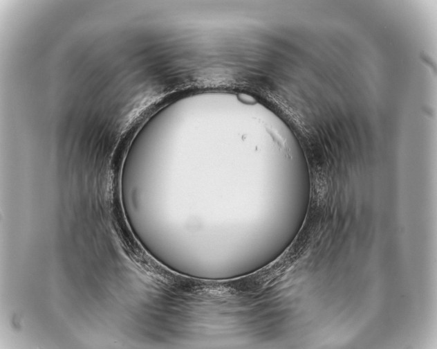 X0000093380583200710251219