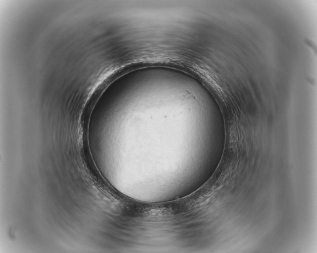 X0000093380584200710251219