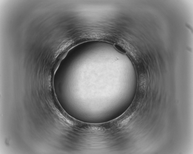 X0000093380585200710251219