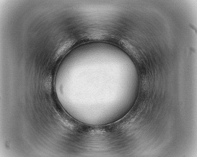 X0000093380586200710251219