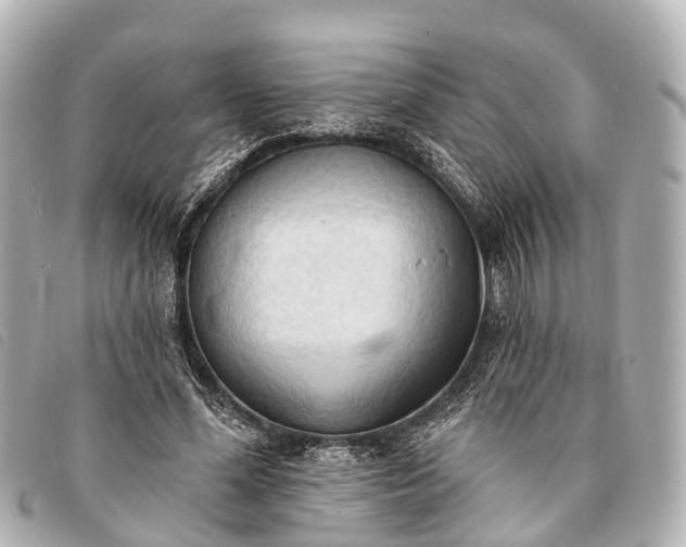 X0000093380588200710251219