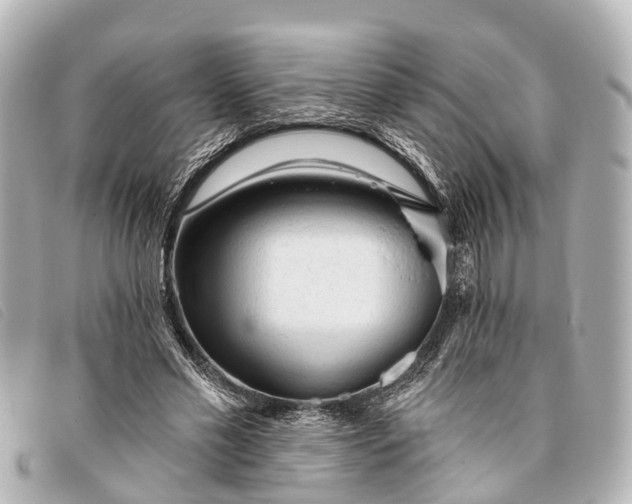 X0000093380589200710251219