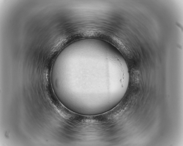 X0000093380590200710251219