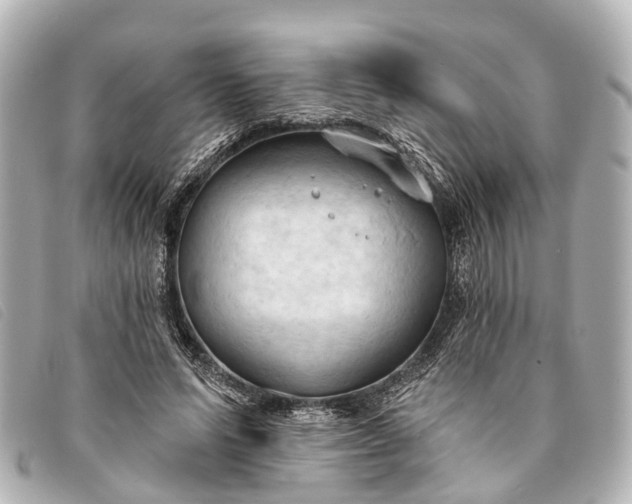 X0000093380591200710251219