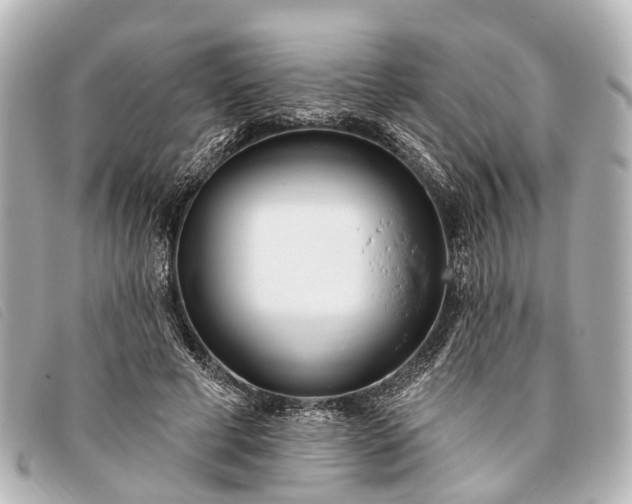 X0000093380593200710251219