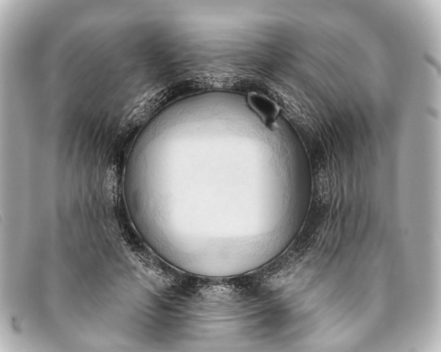 X0000093380594200710251219