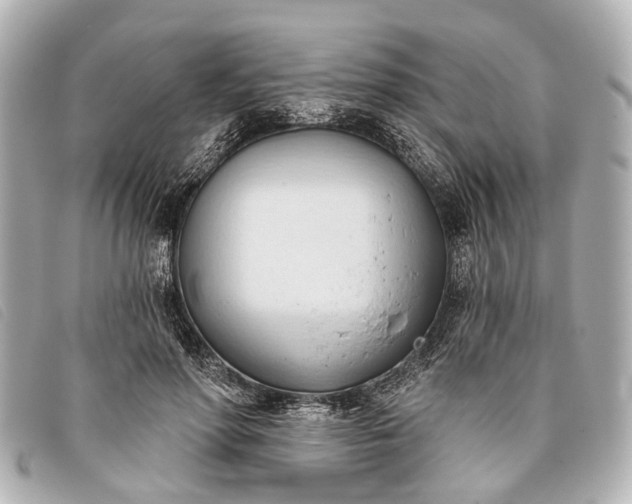 X0000093380598200710251219