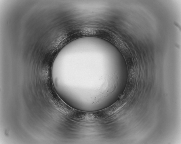 X0000093380600200710251219