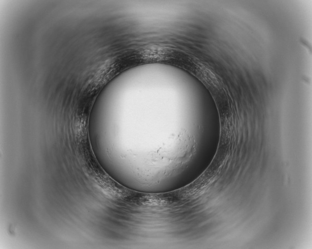 X0000093380601200710251219