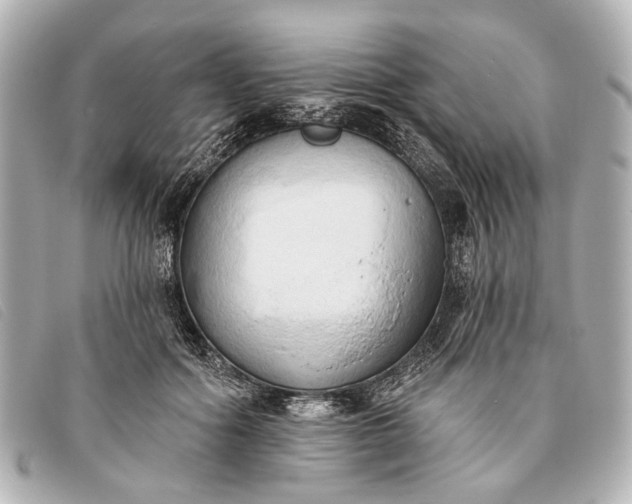 X0000093380602200710251219