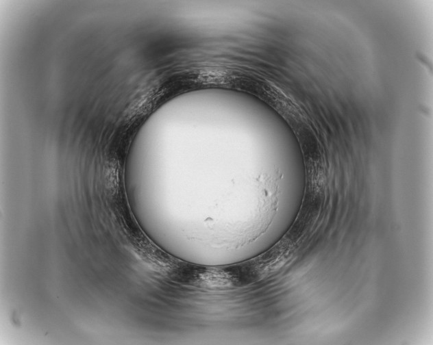 X0000093380603200710251219