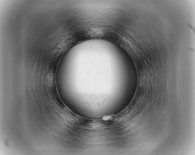 X0000093380604200710251218