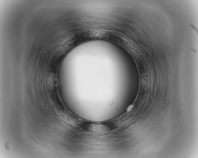 X0000093380605200710251218