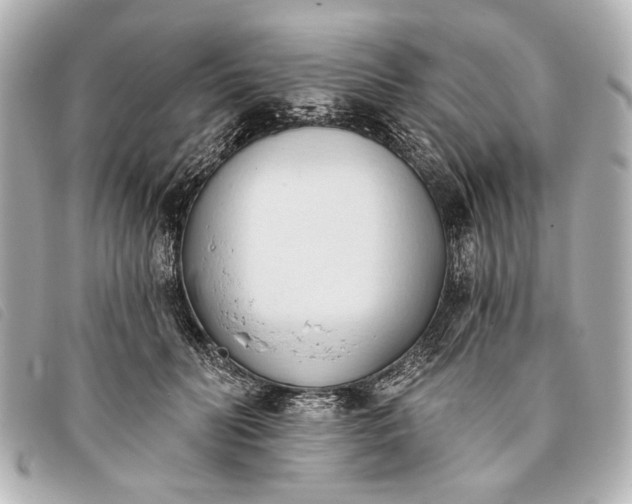 X0000093380606200710251218