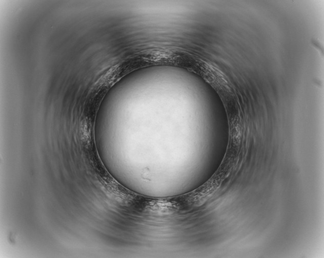 X0000093380607200710251218