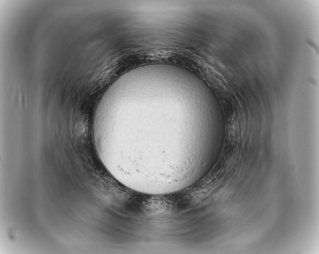 X0000093380608200710251218