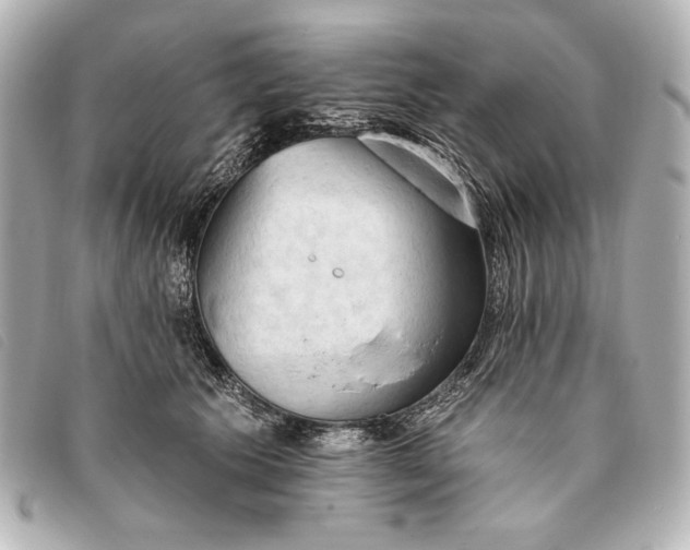 X0000093380609200710251218