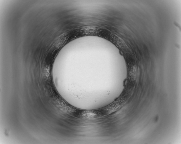 X0000093380610200710251218