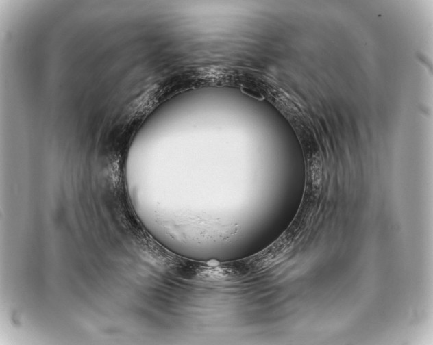 X0000093380611200710251218