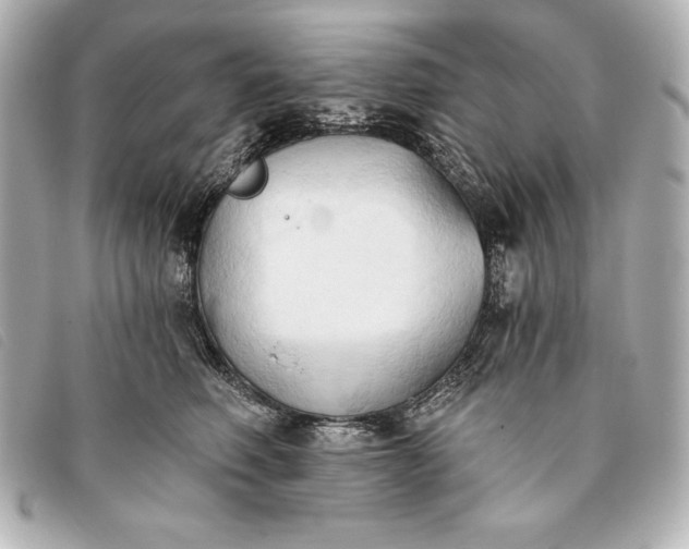 X0000093380614200710251218