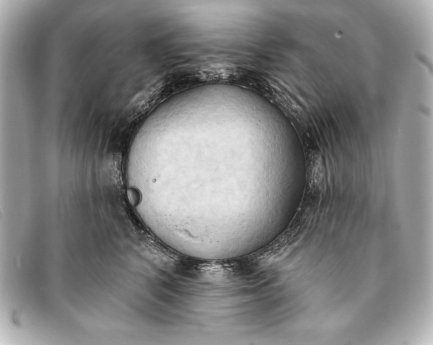 X0000093380616200710251218