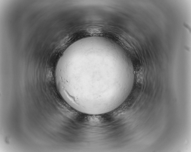 X0000093380618200710251218