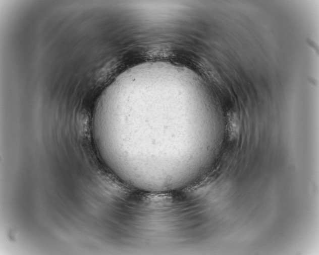 X0000093380619200710251218