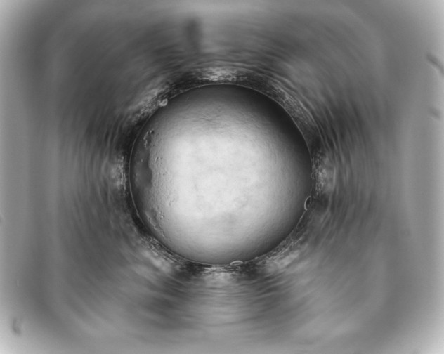 X0000093380620200710251218