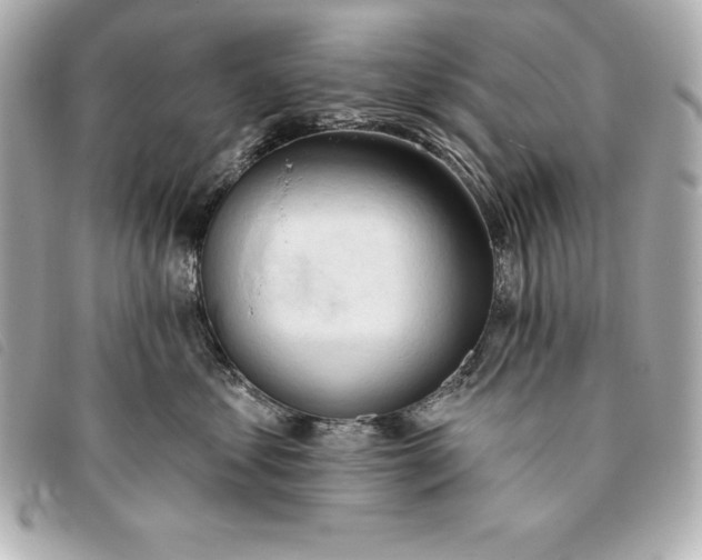 X0000093380621200710251218