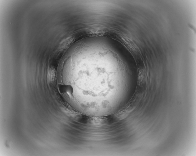 X0000093380623200710251218