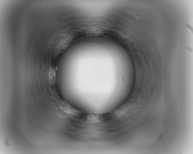 X0000093380624200710251218